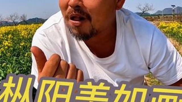 大美安徽如画枞阳，沙和尚一高兴干了三条鱼#穷游