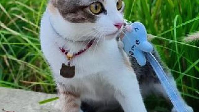 ·ᝰ✍︎꙳
¨̮赴一场春日的约会
#去有风的地方 #我们的日常