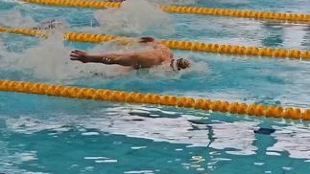 沉浸式欣赏蝶泳比赛现场，第一名不愧是第一名 #游泳锦标赛 #蝶泳 #游泳训练 #蝶泳训练 #游泳技巧