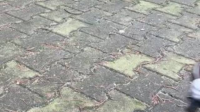 我发布了一个新视频，快来围观吧！