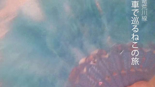 早上好，各位，哈