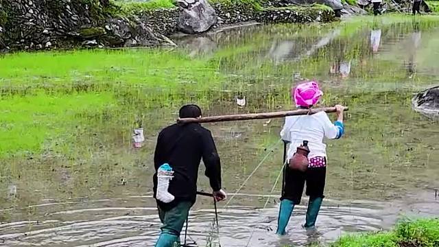 给你5万一个月，住这里，5年不出山，有手机有网，鸡鸭自己养，菜自己种，远离都市的繁华，你愿意吗？