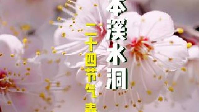 春分至，昼夜均，春色正中分。一半洒落人间烟火，一半晕染山川湖海。桃花绽露娇羞粉靥，新燕穿梭嫩绿柳绦，