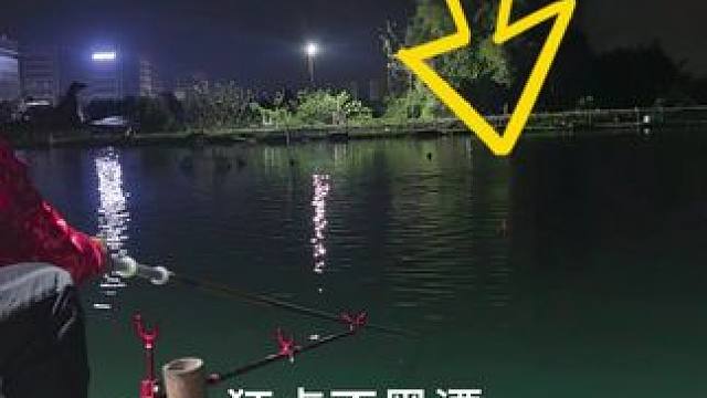 青鱼是真的会换牙吗？#dou来钓鱼 #钓鱼人春季作钓计划 #黑坑青鱼 #