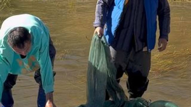 #户外捕鱼 #好多鱼