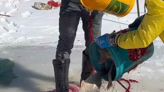 #户外捕鱼 #好多鱼