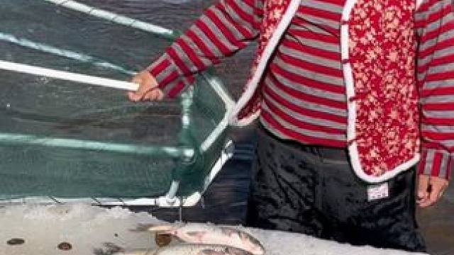 #户外捕鱼 #好多鱼