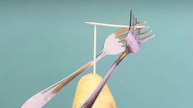 让孩子看真实的科学百科知识，不仅开发强大的思维能力，还能增长物理化知识提升专注力#小实验大道理 #物