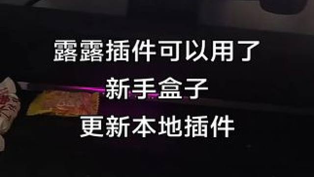 露露插件本地更新一下就可以了 #魔兽世界 #露露插件