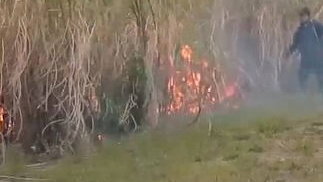 瓜子加工的全过程#瓜子 #追剧小零食 #超便宜超划算 #三只松鼠 #坚果炒货