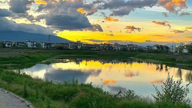 来自深海的带鱼罐头，肉质鲜嫩鲜香可口，真实营养又美味#带鱼罐头 #带鱼