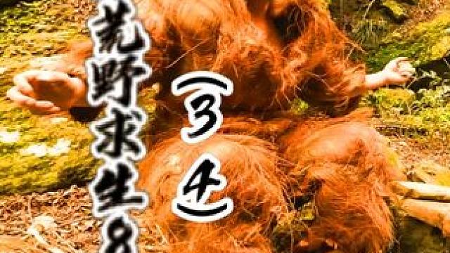 冬季荒野求生81天（34）鹰飞草黄 野外生存巡山找大货，叶枯草黄鹰飞鸡游走#野外生存 #荒野求生 #