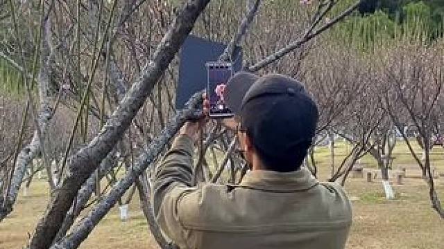 教你一招拍花技巧，简单高级又唯美。看到花花美景试试这样拍太美了。#手机摄影 #拍摄技巧 #春暖花开奔