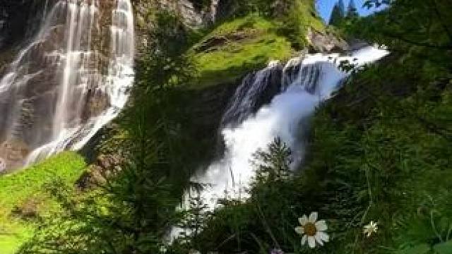 “以简单的心，走自己的路，看自己的风景，过自己的生活。不羡慕也不嫉妒，不攀比也不强求。积德无需人问，