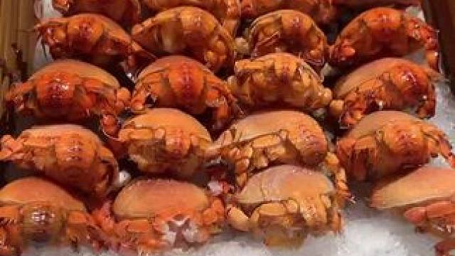 加餐优惠券 #好吃到停不下来 #自助餐 #美食 #亲子互动 #同城好店推荐