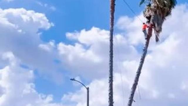 我发布了一个新视频，快来围观吧！