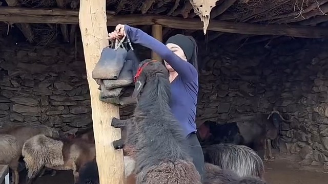 不懂就问，这是啥意思？