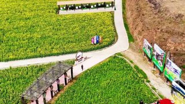 美丽乡村卫子新荣村油菜花海欢迎您！#美丽乡村 #乡村振兴dou行动 #我为家乡代言 #春来广元#千村
