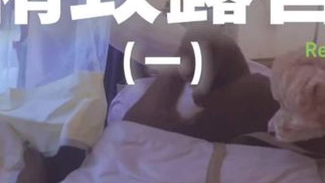 精致露营（一）#露营 #助眠 #解压 #萌宠 #户外露营