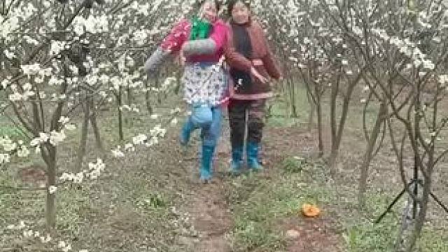 山卡卡里没钱农村大姐学费了开直播每天收获满满您还在恐播怕播不敢开播开播了不知说什么吗#记录我的农村生