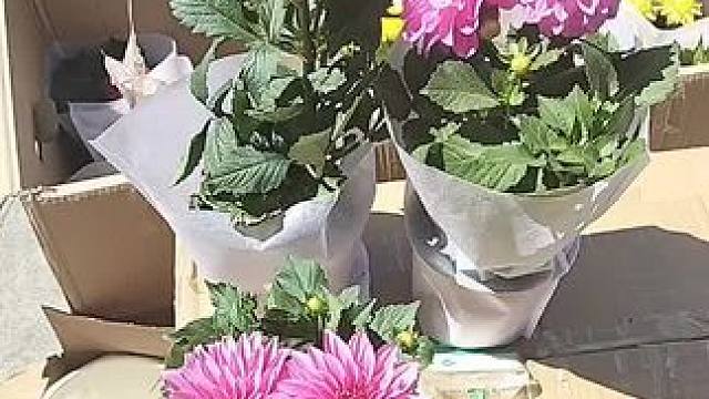 我发布了一个新视频，快来围观吧！