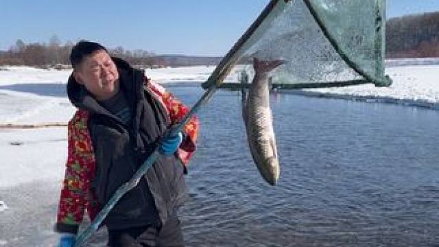 #撒网 #户外捕鱼