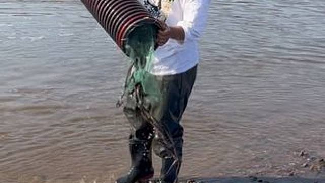 #户外捕鱼 #好多鱼