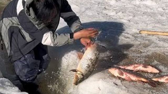 #户外捕鱼 #好多鱼