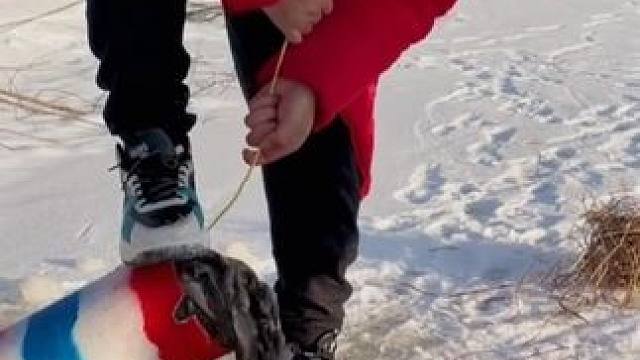 #户外捕鱼 #好多鱼