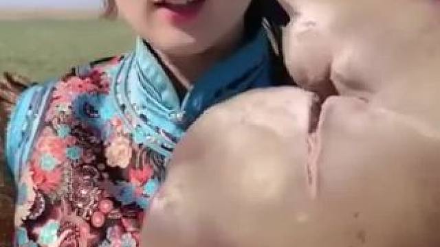 五香酱羊肝 #热点 #酱羊肝 #妈呀太香了 #好吃到停不下来 #美食推荐