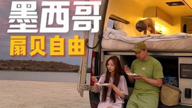 在最美的墨西哥湾吃到了野生海鲜大餐#房车旅行 #得物 #赶海抓海鲜