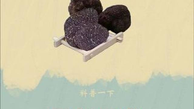 寻找黑松露到底能不能日赚一万元！#黑松露 #黑松露美食 #黑松露酱 #科普