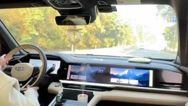 替大家试过了，星越L十几万的价格三十万的配置，底盘稳动力强，内饰做工好，加上CCD加持，开着真的太舒