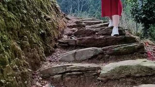 每年就我一个人回老家看看这个院子，来了什么都没有了，连一口热饭都没吃上，今年再回来一次，明年就不回来