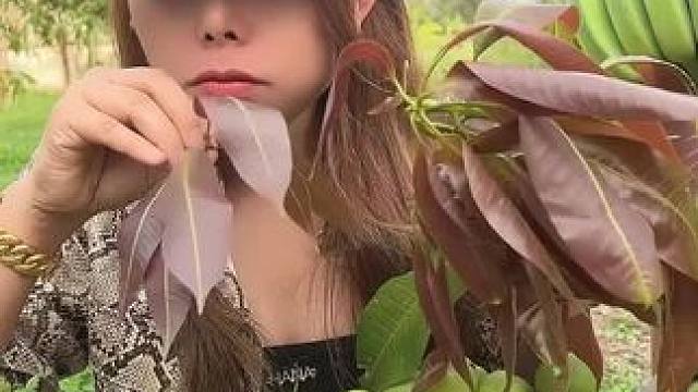 还是芒果叶好吃 #泰国美食#泰国特色美食#吃芒果叶