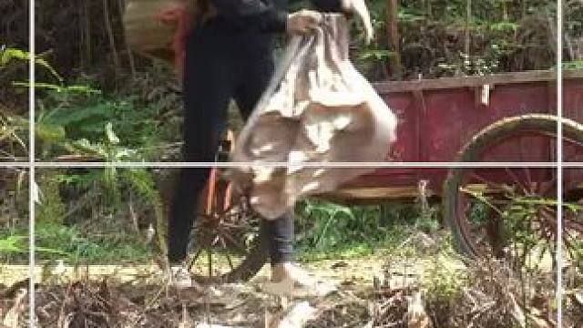 #乡下农村生活 #三农 #农村生活 #美女