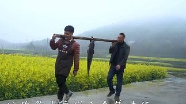 四年前的今天竟然一条鱼还做了六个菜！ #农村美食 #大山里的味道 #人间烟火 #记录真实生活