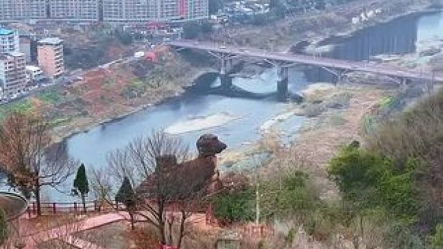 这是广东最喜欢的鸡，它吃着湖南的粮食，却把蛋下到了广东，因此广东变得非常富有！你觉得像吗？#旅行推荐