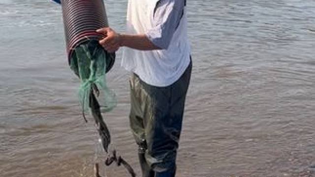 #户外捕鱼 #好多鱼