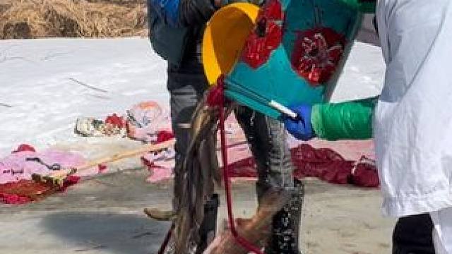 #户外捕鱼 #好多鱼