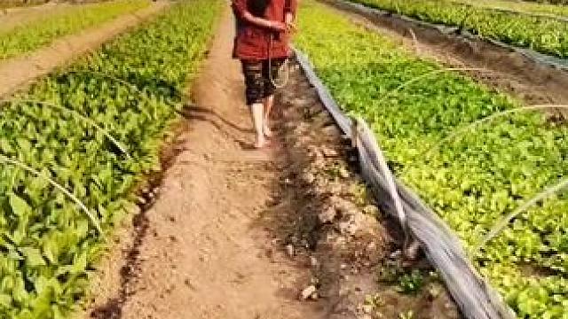 山卡卡里的农村大姐学费了开直播每天收获满满您还在恐播怕播不敢开播开播了不知说什么吗#记录真实生活 #