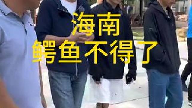俞敏洪老师说海南鳄鱼不得了啊，欢迎俞敏洪老师 #现场直击
