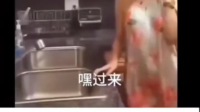 《单独在家是一种buff》