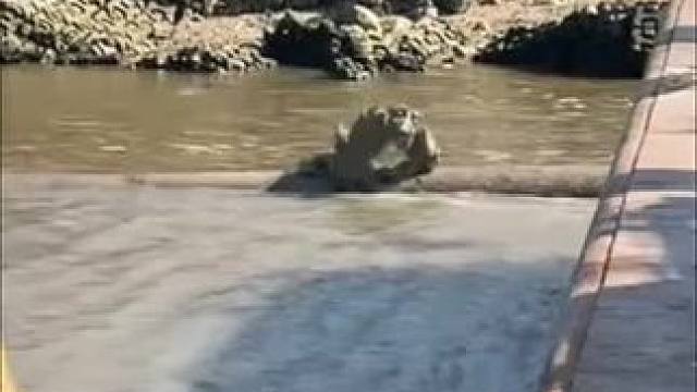 我发布了一个新视频，快来围观吧！