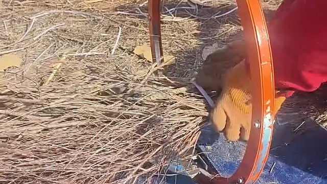 这是干什么呢？