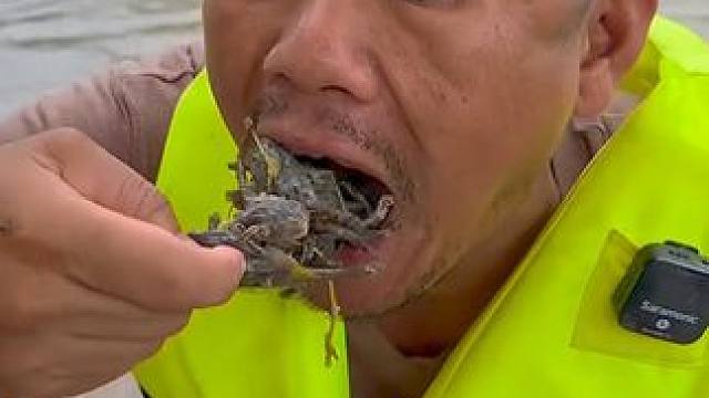 满籽的蛋蛋蛙吃着就是过瘾 #美食 #泰国美食 #户外美食 #内容启发搜索