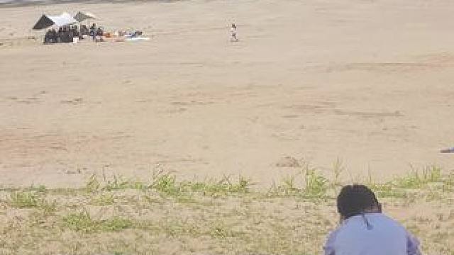 #河边遛娃吹吹风 #享受大自然 #陪孩子的时光