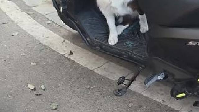 扩香木还要用钱买？这钱咱不花