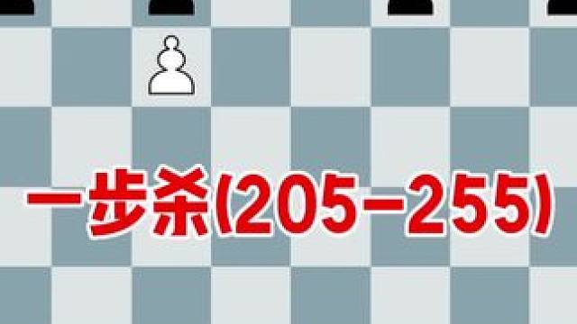 国际象棋一步杀(205-255)
