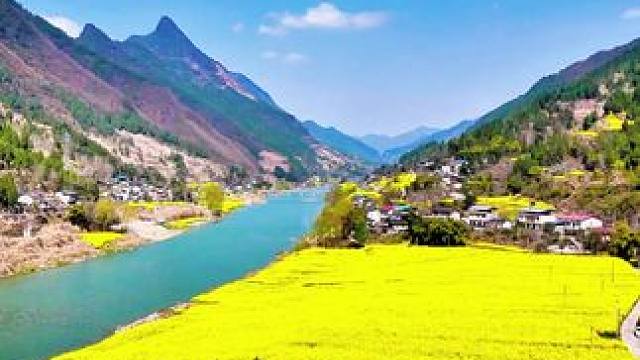 你家乡那边的油菜花开了吗？ #剑阁是个好地方#千村万象乡影广元#打卡春日油菜花田 #治愈系风景 #田